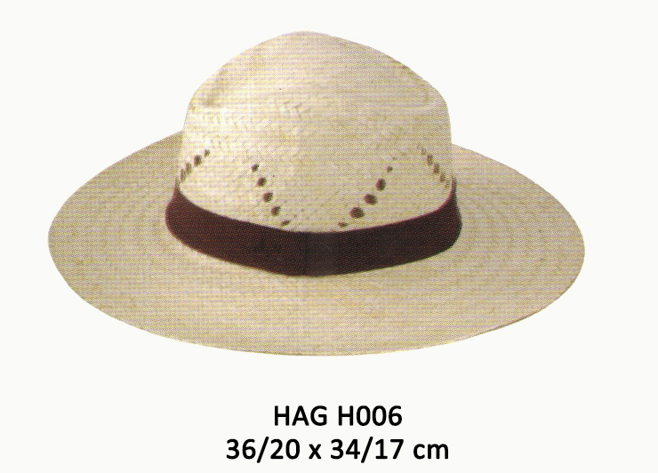 HAG H006