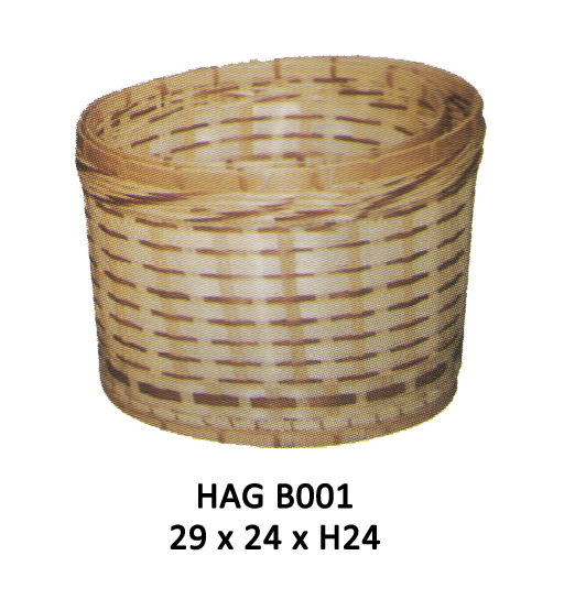 HAG B001
