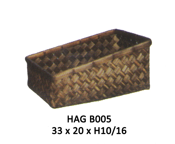 HAG B005