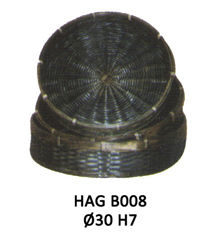 HAG B008