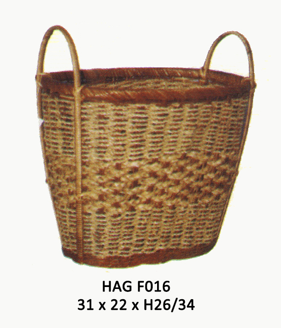 HAG F016