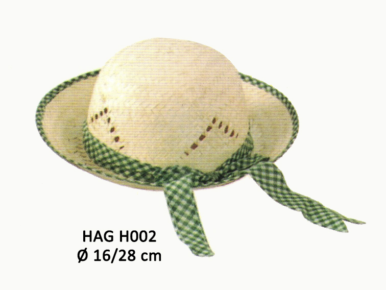 HAG H002