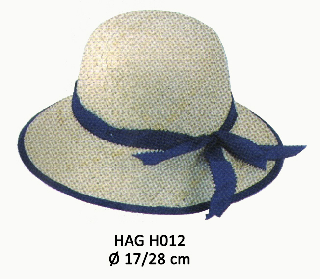 HAG H012