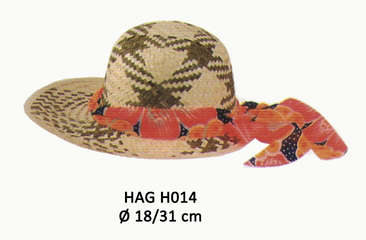 HAG H014