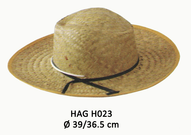HAG H023
