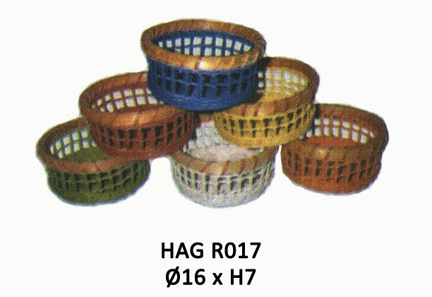 HAG R017