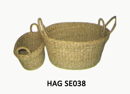 HAG SE038